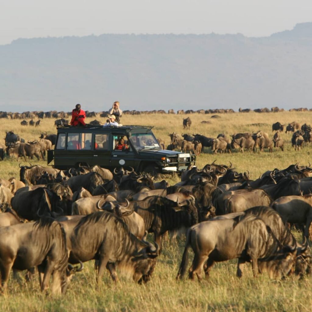 5-Day Kenya Beautiful Road Trip