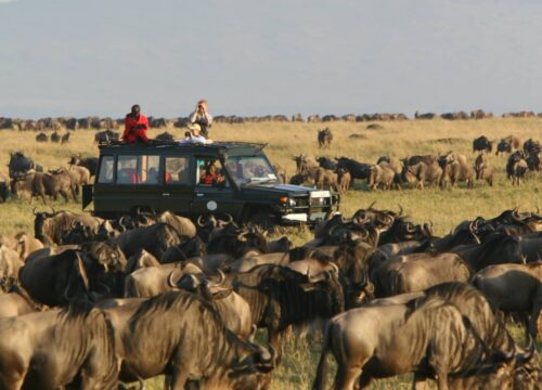 5-Day Kenya Beautiful Road Trip