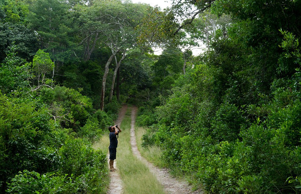 1-Day Arabuko-Sokoke Forest