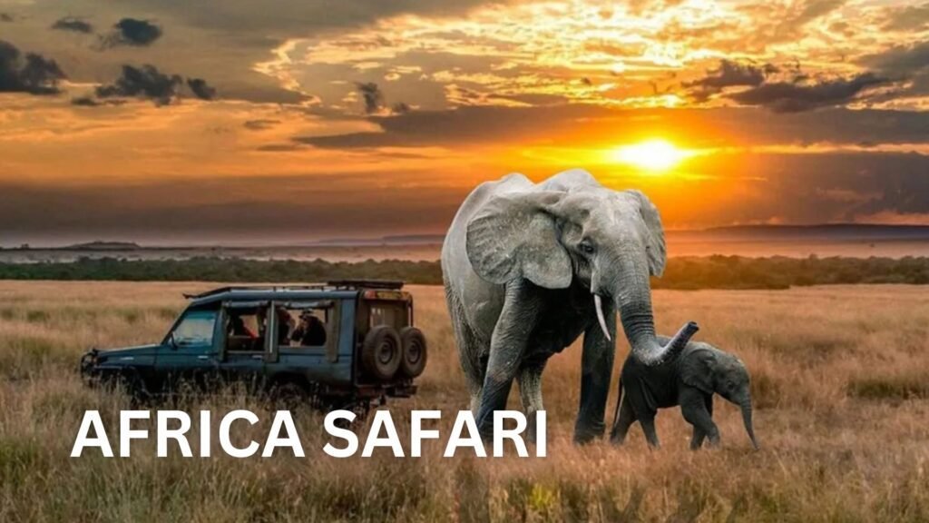 14-Day Safari in Africa- Custom Tour in Rwanda and Uganda