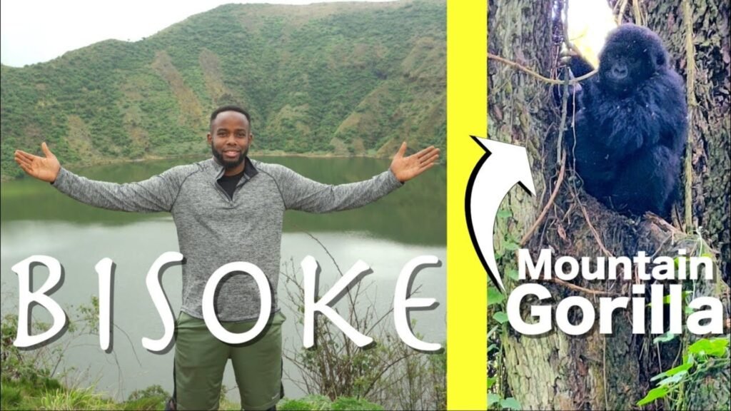 7 Days Bisoke Hiking Gorilla Tour Rwanda