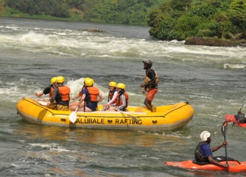 8 Day Of Kidepo and Jinja Adventure Safari