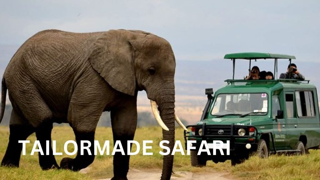 All-inclusive Perfect 1 week  Tailor-Made Holiday Safari in Rwanda and Uganda