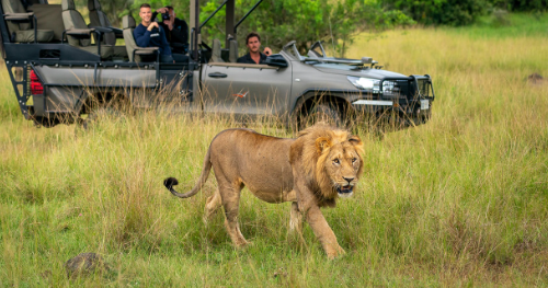 Game Drives in Akagera National Park 2024