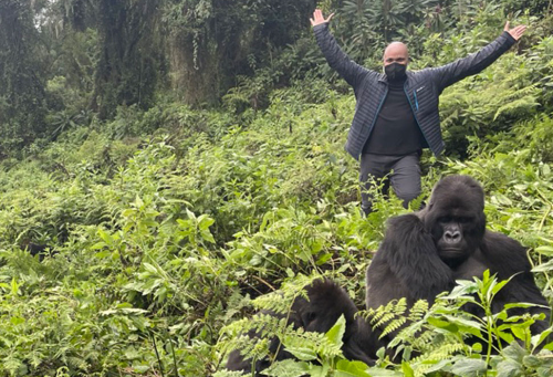 2 Days Gorilla Tracking Rwanda