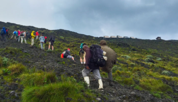 4-Day Rwanda Bisoke Hike, Twin Lakes, Golden Monkey Trek