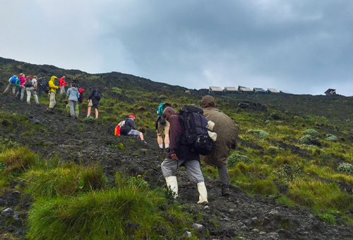 7-Day Gorilla & Bisoke Volcano Hiking