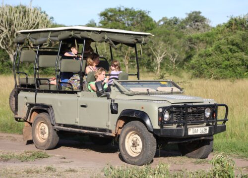 7 Days Adventure Wildlife Safari in Uganda