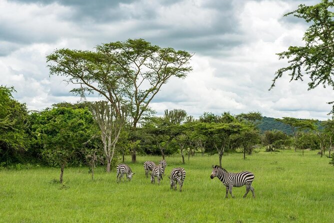 14 Days East Africa and Zanzibar Safari