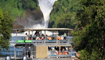 4-Day Murchison Falls and Jinja Safari