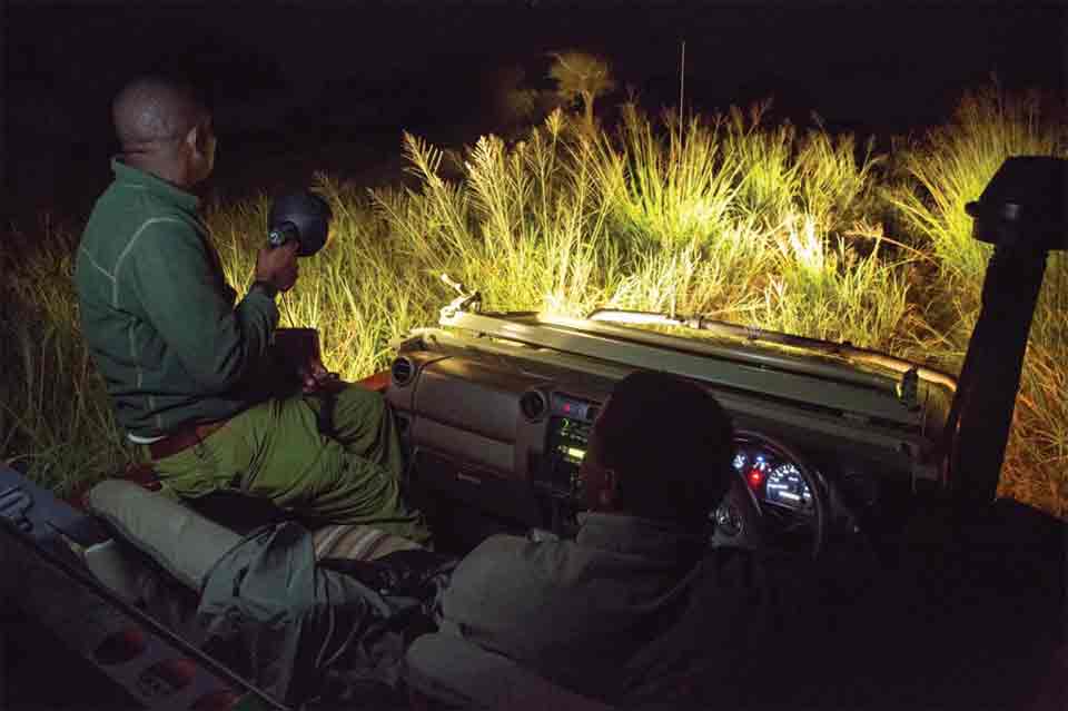 Night Game Drives in Uganda