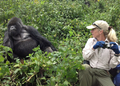 8 Day Gorilla Trekking Safari