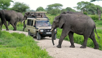 12-Days great Rwanda Safari