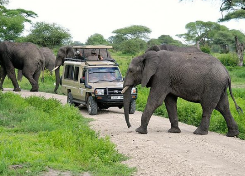 12-Days great Rwanda Safari