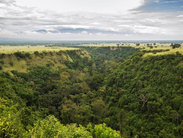 Kyambura Game Reserve