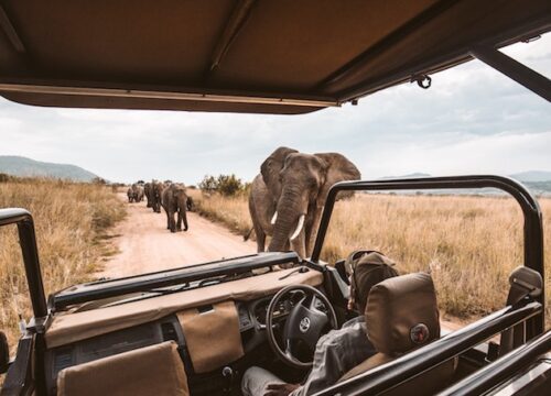 What To Pack For An African Safari