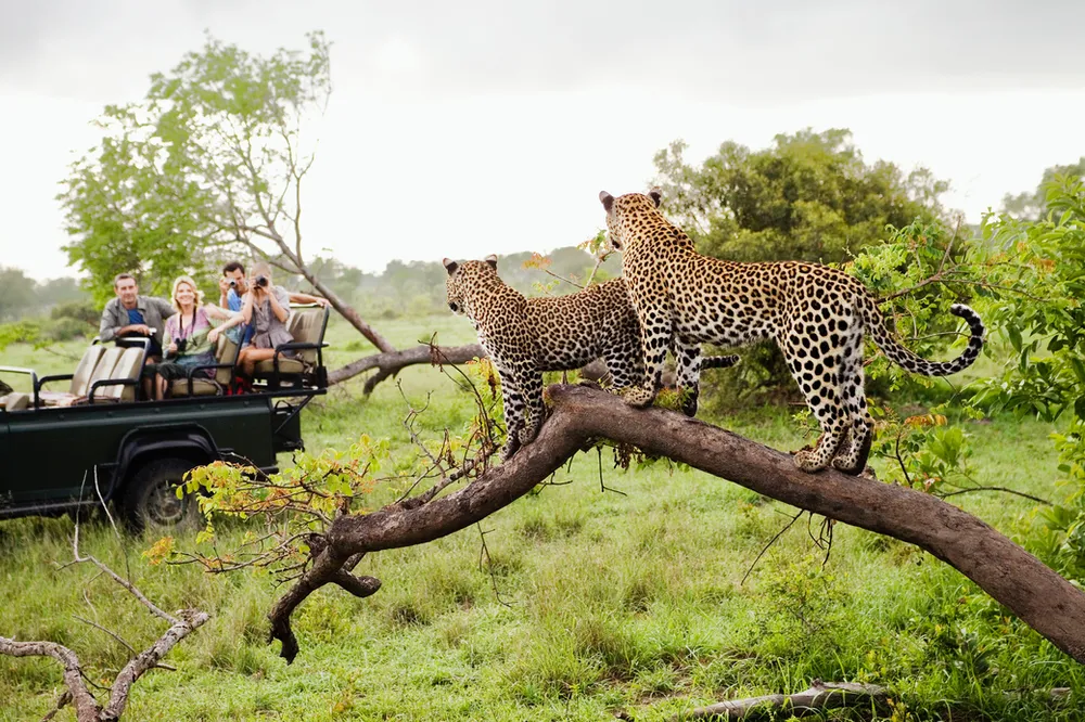 7 Days Wildlife Safari in Uganda