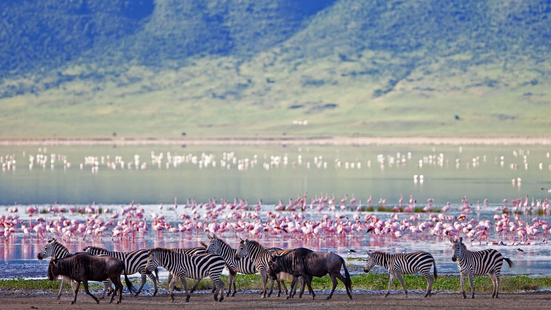 Tanzania National Parks in the North