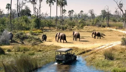 16 Days Best of Uganda Safari