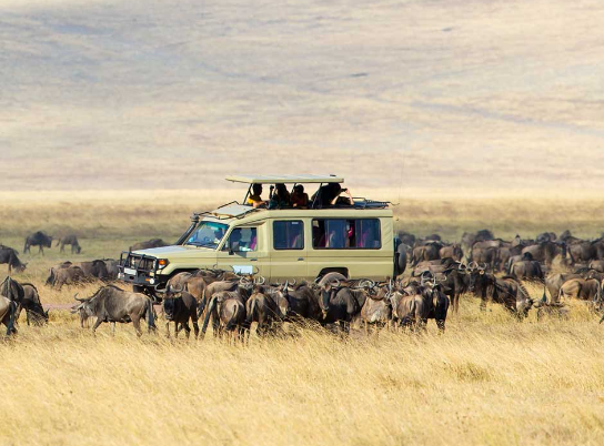 3 Days Serengeti and Ngorongoro Luxury Safari