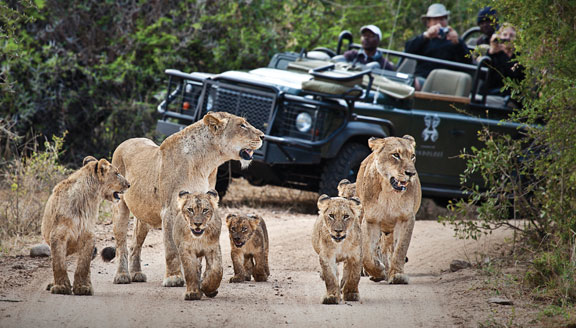 6 days Uganda Wildlife Safari