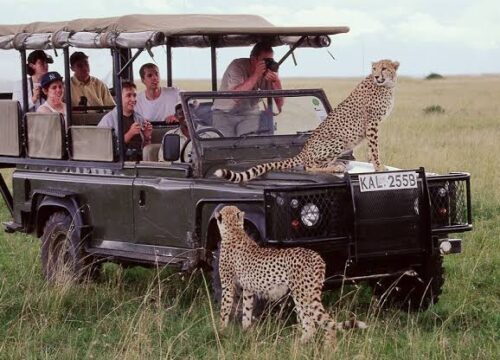 5 Days Kenya Camping Safari | Budget Group Safari Masai Mara & Nakuru