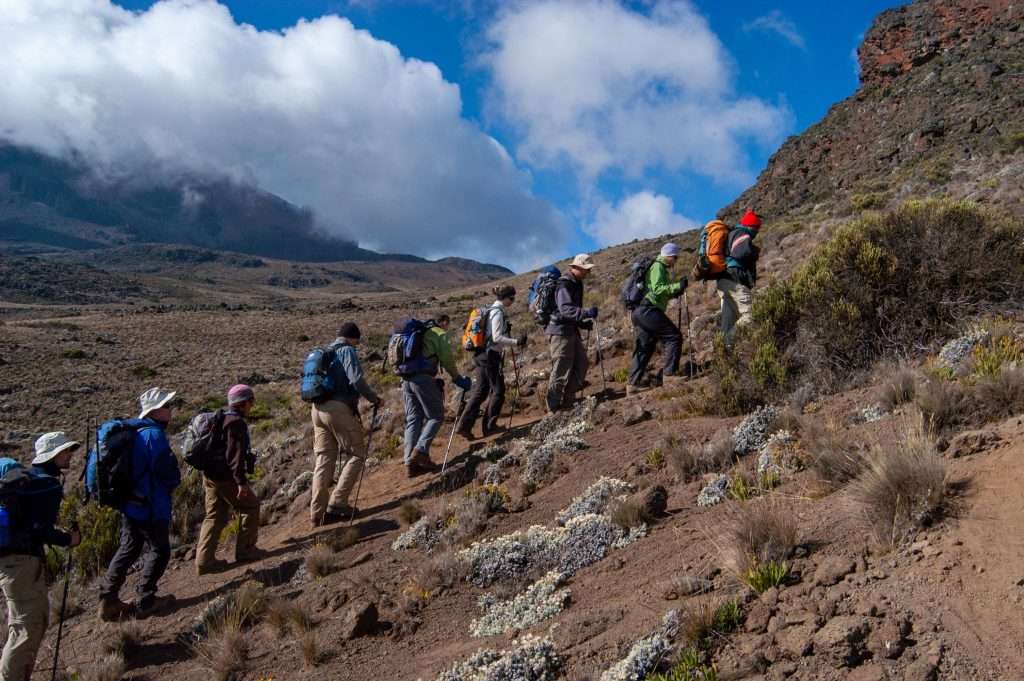 7 Days Kilimanjaro Route Exploring Hut Trek