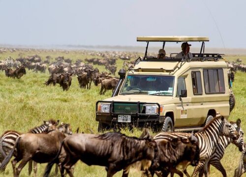 21 Days Breathtaking Uganda, Rwanda, Kenya & Tanzania Tour