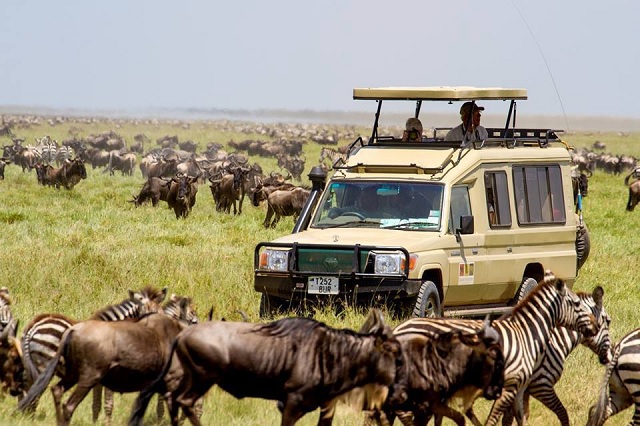 5 Days Masai Mara Fly in Top Luxury Safari
