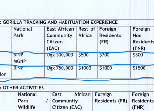 Gorilla Trekking Permit Fee Increase From $700 To $800