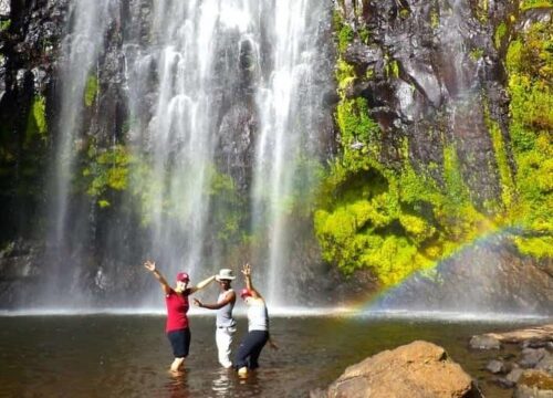 1 Day Materuni Water Falls and Coffee Tour