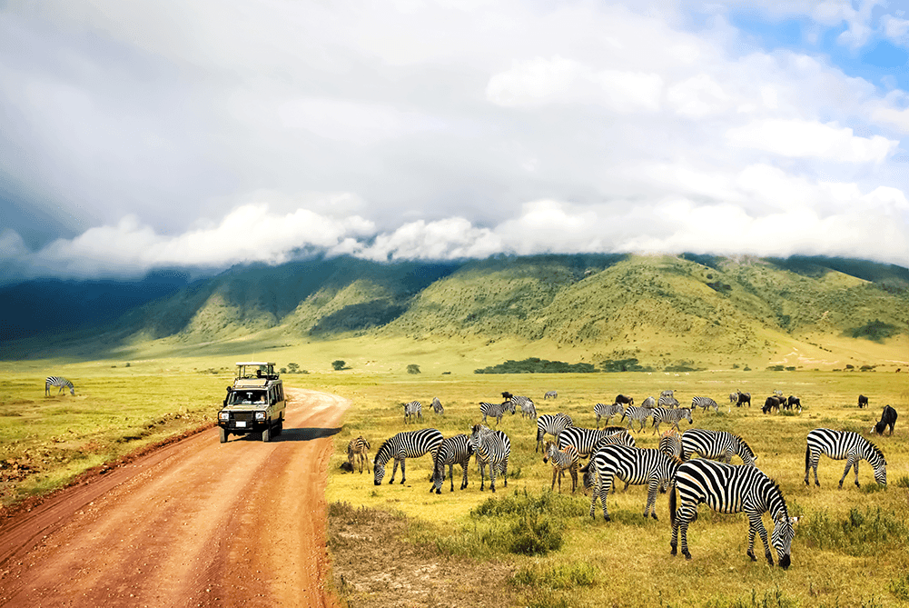 Activities to do in Tanzania