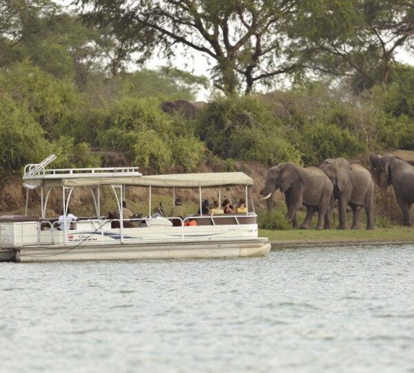 9 Days Uganda Safari