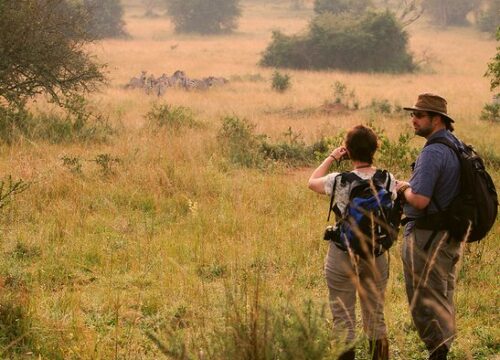 10 Days Uganda From Rwanda Safari