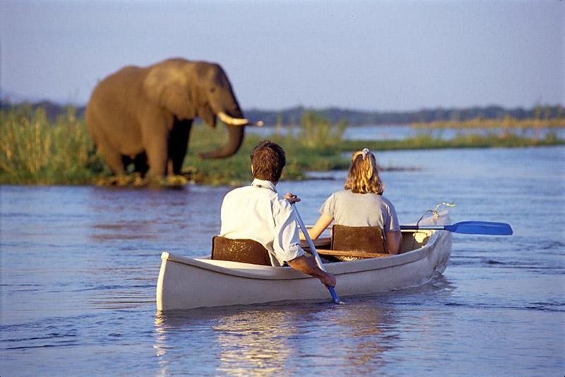 Activities to do in Tanzania
