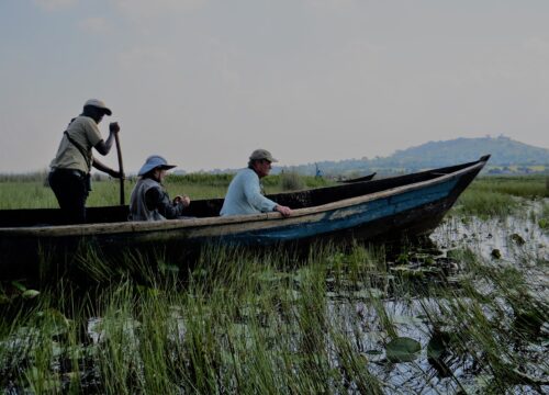 Mabamba Swamp