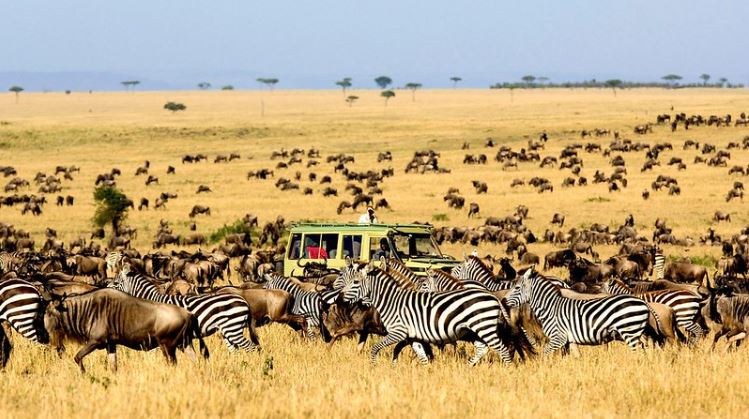 21 Days East Africa Combo safari