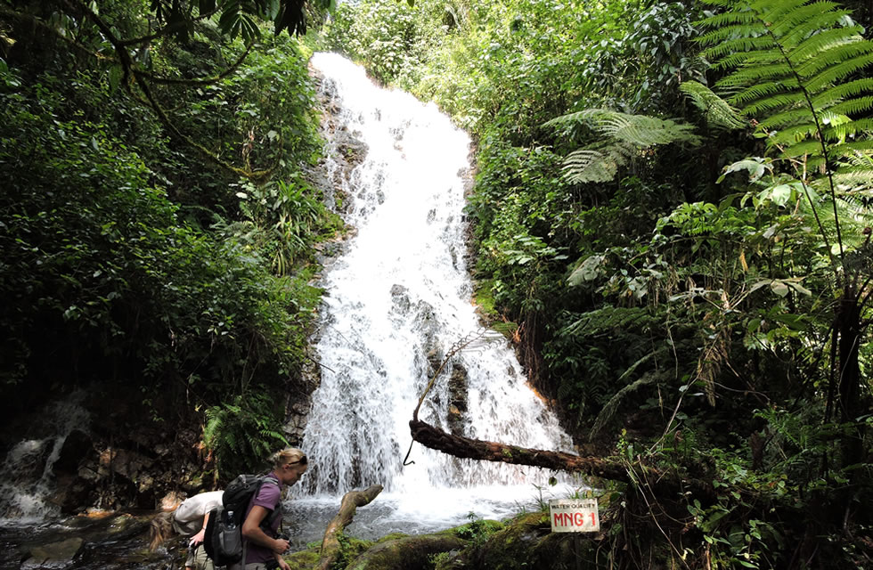 Waterfalls and Hiking Trails in Bwindi