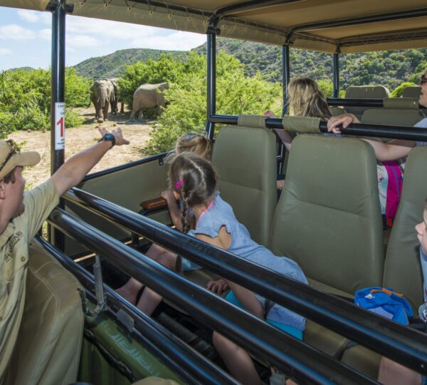11 Days South Africa Family Adventure 