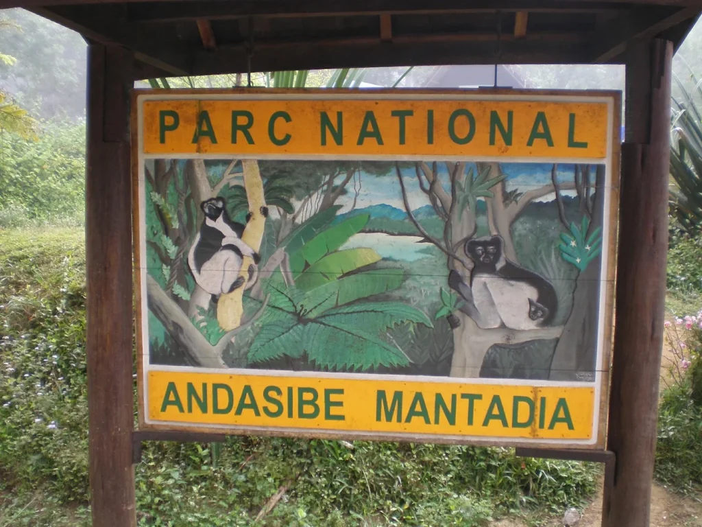 Transfer to Andasibe-Mantadia National Park