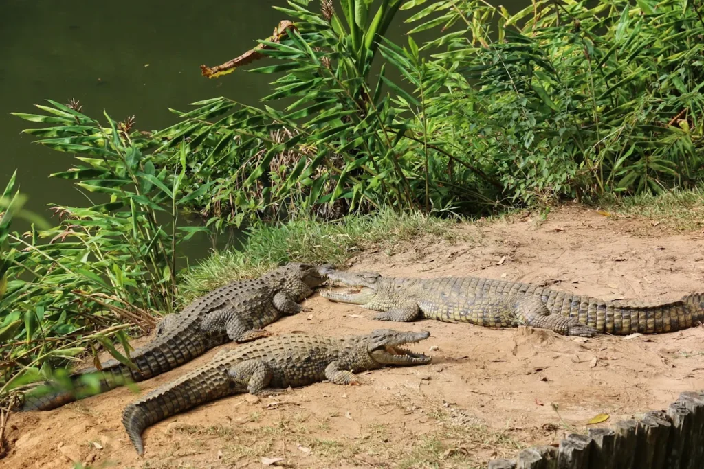 Best Time to Visit Madagascar