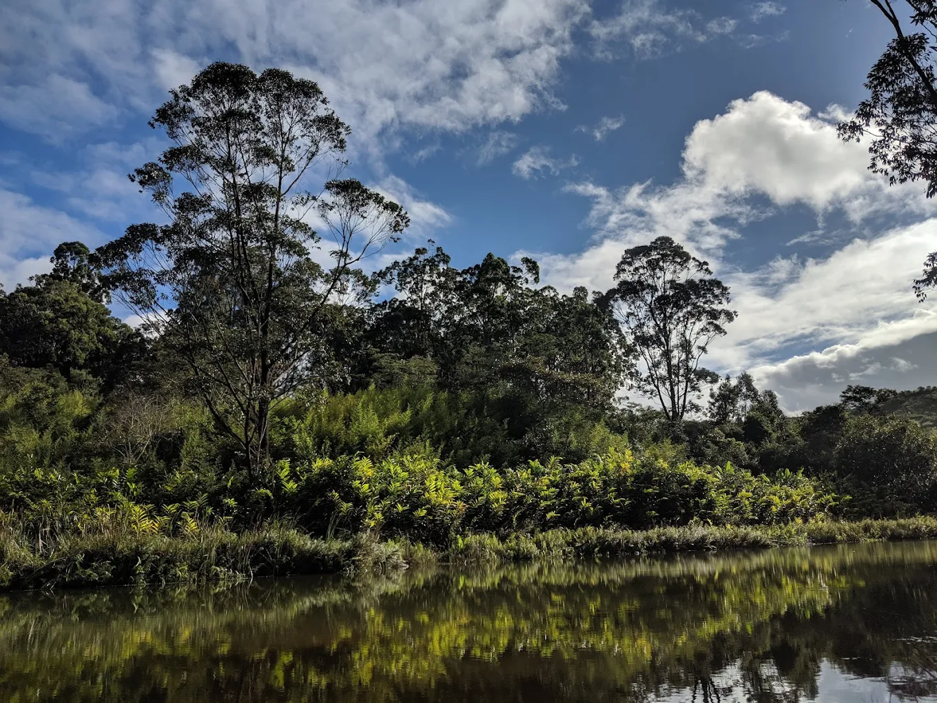 12‑Day Madagascar Rainforest Adventure