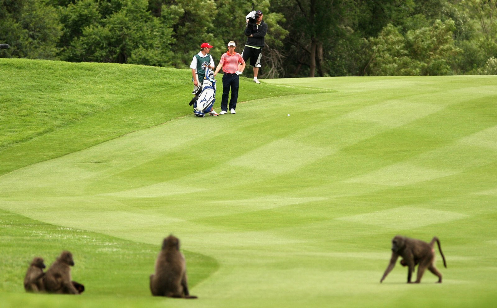 Golf and Big 5 South Africa Tour