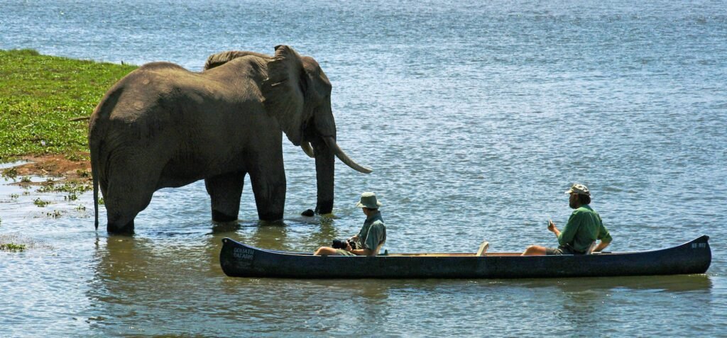 4 Days Zimbabwe Canoe Safari