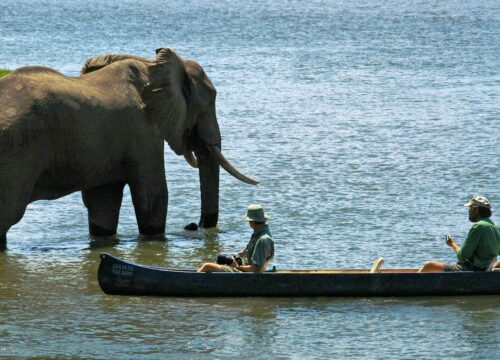 4 Days Zimbabwe Canoe Safari