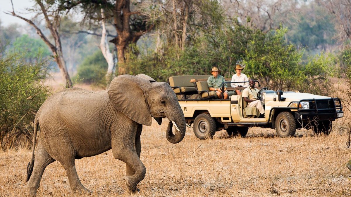 14 Days East Africa and Zanzibar Safari