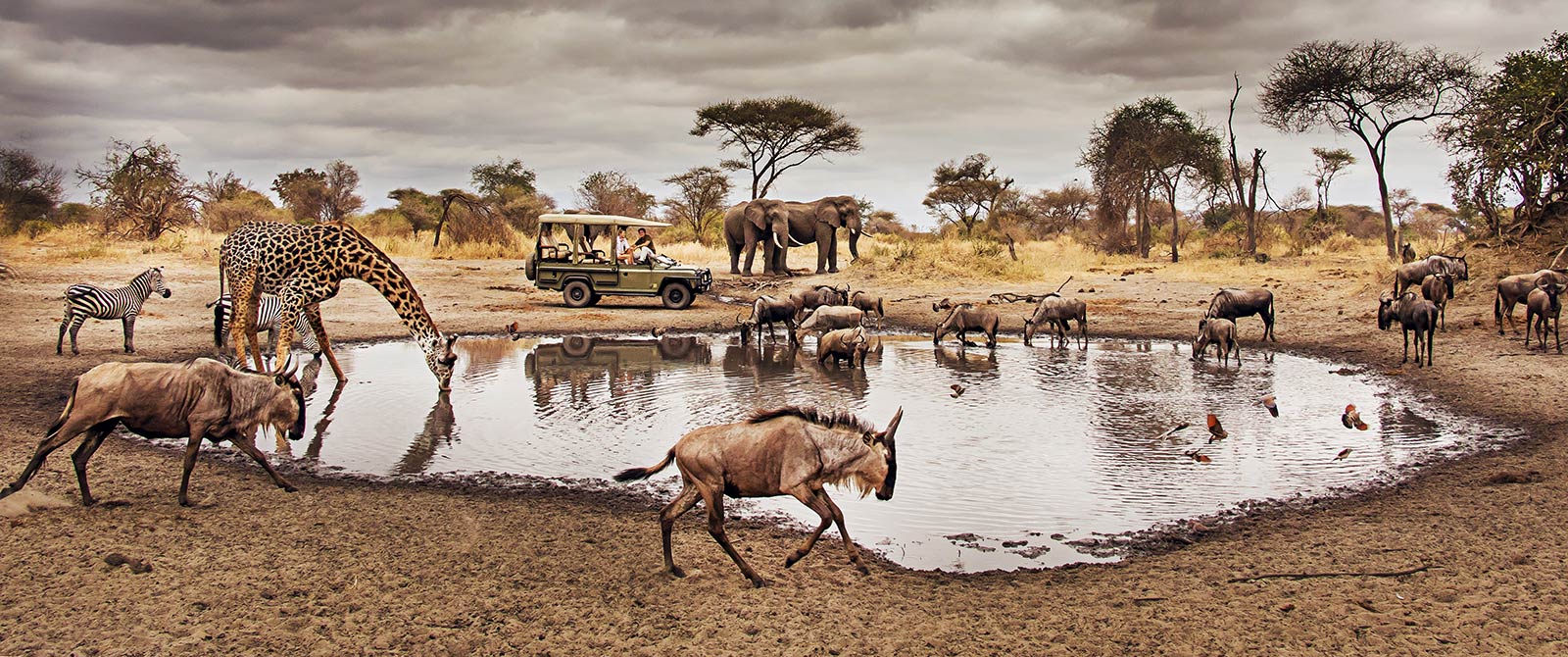 3 Days Masai Mara Group Joining Safari | Kenya Budget Wildlife Tour 
