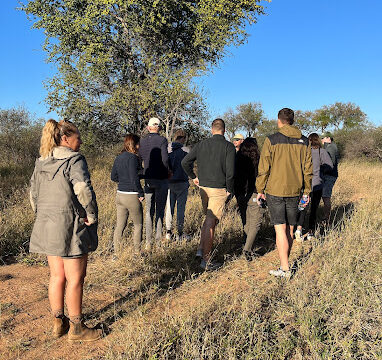 Balule Nature Reserve