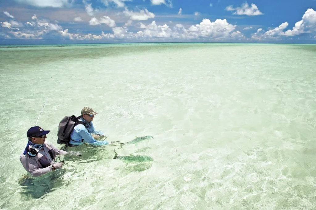 Best Time for Cosmoledo Scuba Diving Safari
