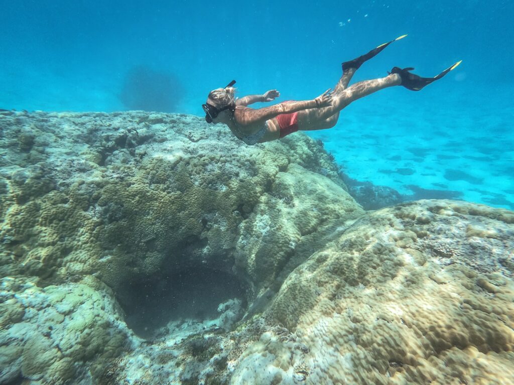 Cosmoledo Scuba Diving Safari Highlights
